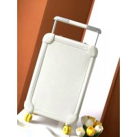 Hermes RMS telescopic cabin cargo suitcase/wheeled case in canvas and leather trim