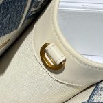 Dior jacquard small booktote travel boarding cabin luggage handbag full boutique inclusion - 图片 6