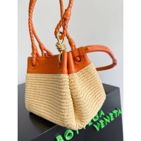 BV Small Parachute Shoulder Bag raffia-braided bucket handbag fuu boutique inclusion - 图片 8