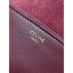 Celine triomphe halfmoon cocktail clutch stylish women's crossbody flap saddle bag magnetic closure - 图片 9