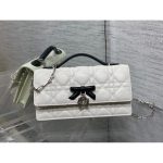 quilted Dior top handle cosmetic smartphone holder clutch sling croosbody flap messenger