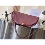 Celine triomphe halfmoon cocktail clutch stylish women's crossbody flap saddle bag magnetic closure