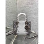 Dior exotic lizard-effect mini top handle bag with structured shape - 图片 4