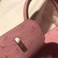 ostrich hermes Terre Cuite Birkin30 handbag GHW full handmade boutique inclusion