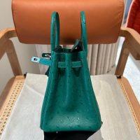 hermes Vert Jade birkin 25 handbag PHW in ostrich leather full handmade/boutique inclusion