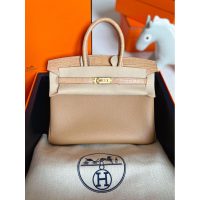 Hermes birkin touch 25 handbag in nile crocodile and togo leather PHW full handbag /boutique inclusion