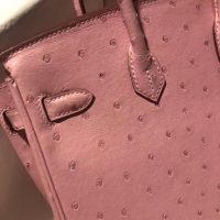 ostrich hermes Terre Cuite Birkin30 handbag GHW full handmade boutique inclusion