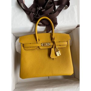 Togo Hermes birkin 25 handbag GHW full handmade boutique inclusion