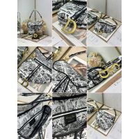 embroidered canvas Dior shoulder flao saddle boutique inclusion - 图片 6