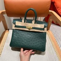 hermes Vert Jade birkin 25 handbag PHW in ostrich leather full handmade/boutique inclusion