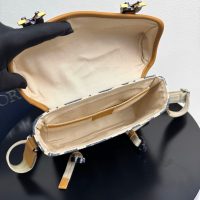 Canvas dior crossbody flap saddle messenger/shoulder satchel flap/full inclusion - 图片 9