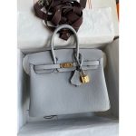 Togo Hermes birkin 25 top-handle handbag GHW full handmade boutique inclusion