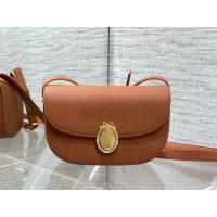 microchip version Dior oval-medal crossbody shoulder flap saddle bag - 图片 5