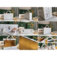 Goyard compact suitcase hotel truck handbag makeup organizer luxury jewelry case premium quality - 图片 9
