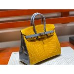 Hermes bicolor birkin 25 handbag GHW with horseshoe stamp in alligator full handmade/boutique inclusion