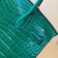 Nile crocodile Her^^m Birkin 25 upscale banquet dinner tote handmade shopper handbag - 图片 8