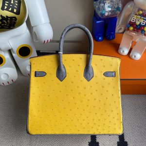 hermes ostrich Birkin 25 handbag color-contrast shopping tote business briefcase handmade stich