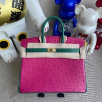 hermes ostrich Birkin 25 handbag color-contrast shopping tote business briefcase handmade stich