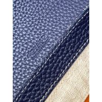 Goyard canvas vintage crossbody flap camera bag smartphone cosmetic holder pouch - 图片 4