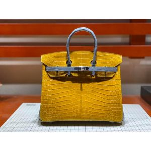 Hermes bicolor birkin 25 handbag GHW with horseshoe stamp in alligator full handmade/boutique inclusion