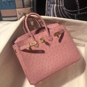 ostrich hermes Terre Cuite Birkin30 handbag GHW full handmade boutique inclusion