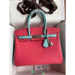 epsom hermes birkin 30 handbag with horse charm GHW full handmade/boutique inclusion
