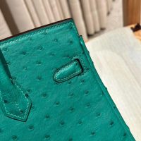 hermes Vert Jade birkin 25 handbag PHW in ostrich leather full handmade/boutique inclusion
