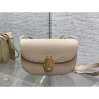 microchip version Dior oval-medal crossbody shoulder flap saddle bag - 图片 4