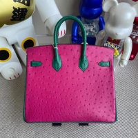 hermes ostrich Birkin 25 handbag color-contrast shopping tote business briefcase handmade stich