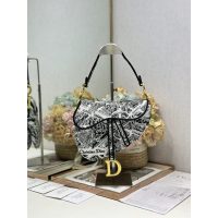 embroidered canvas Dior shoulder flao saddle boutique inclusion - 图片 4