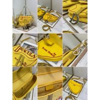 embroidered canvas Dior shoulder flao saddle boutique inclusion - 图片 8