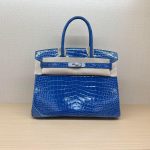Nile crocodile Her^^m Birkin 25 upscale banquet dinner tote handmade shopper handbag