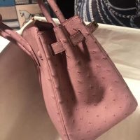 ostrich hermes Terre Cuite Birkin30 handbag GHW full handmade boutique inclusion