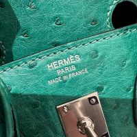 hermes Vert Jade birkin 25 handbag PHW in ostrich leather full handmade/boutique inclusion
