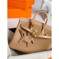 Hermes birkin touch 25 handbag in nile crocodile and togo leather PHW full handbag /boutique inclusion